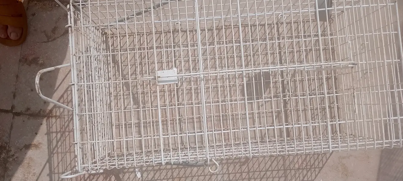 catch cage — photo 3