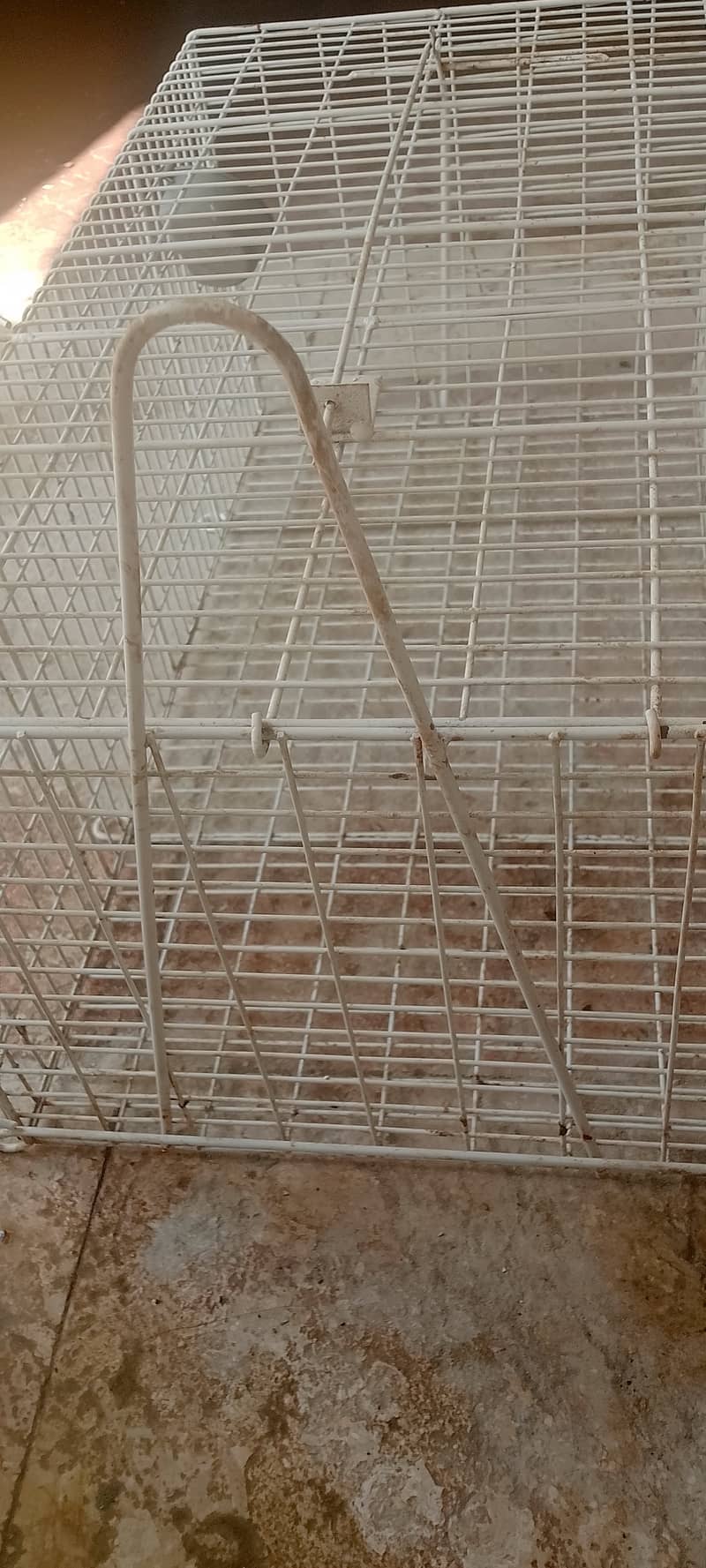 catch cage 3