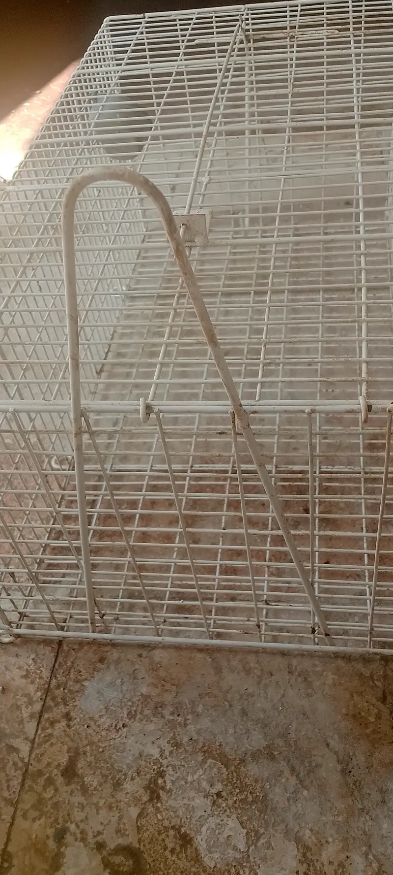 catch cage — photo 4