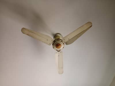 silling fans