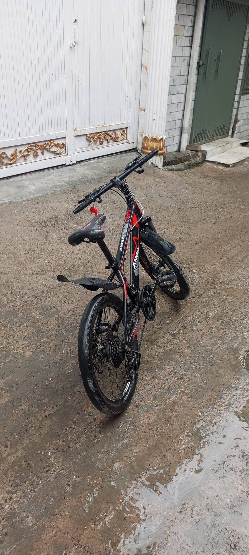 NEW cycle 2