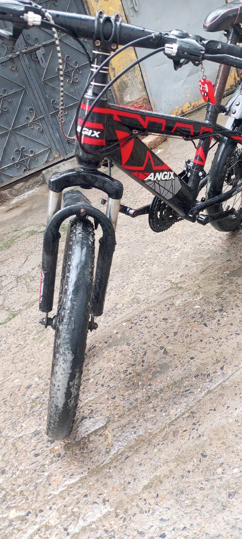 NEW cycle 5