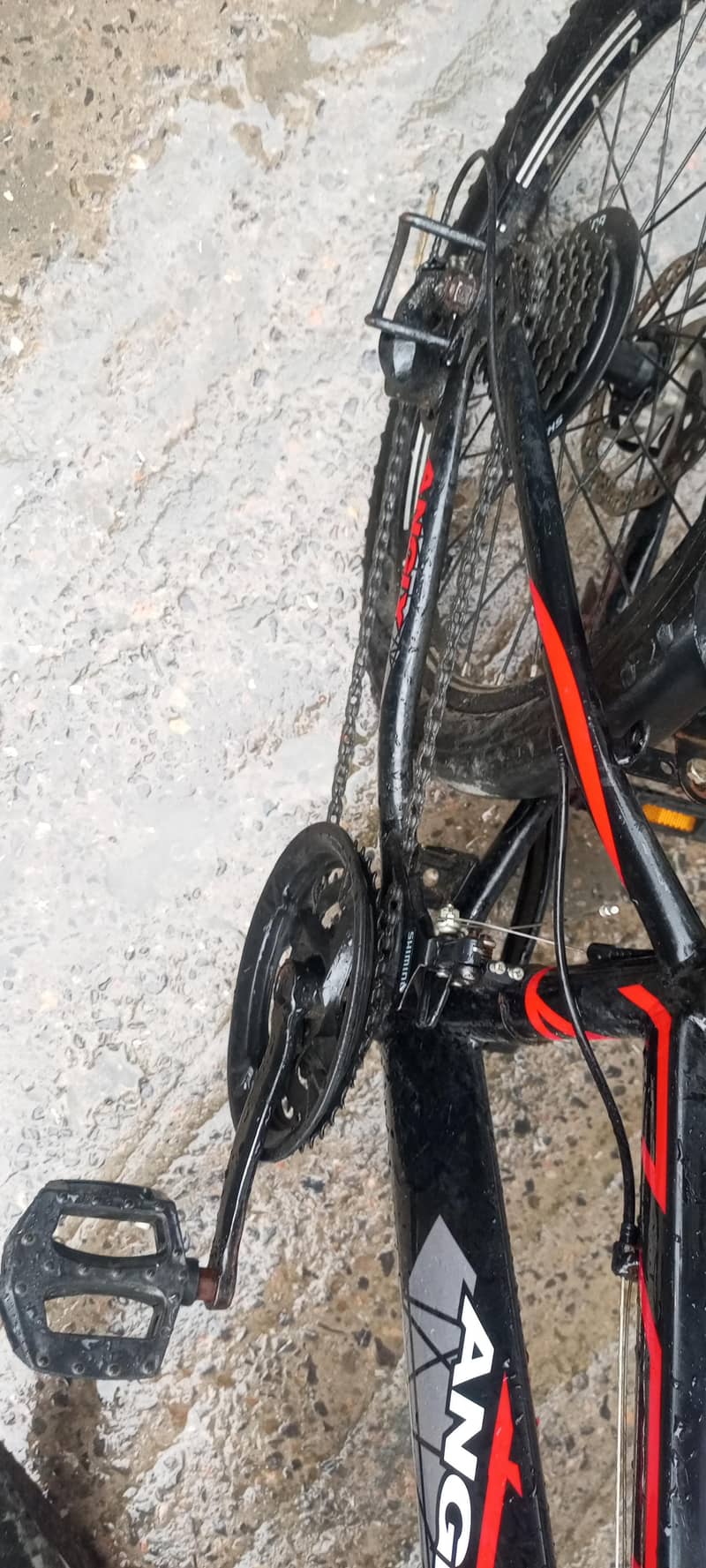 NEW cycle 6