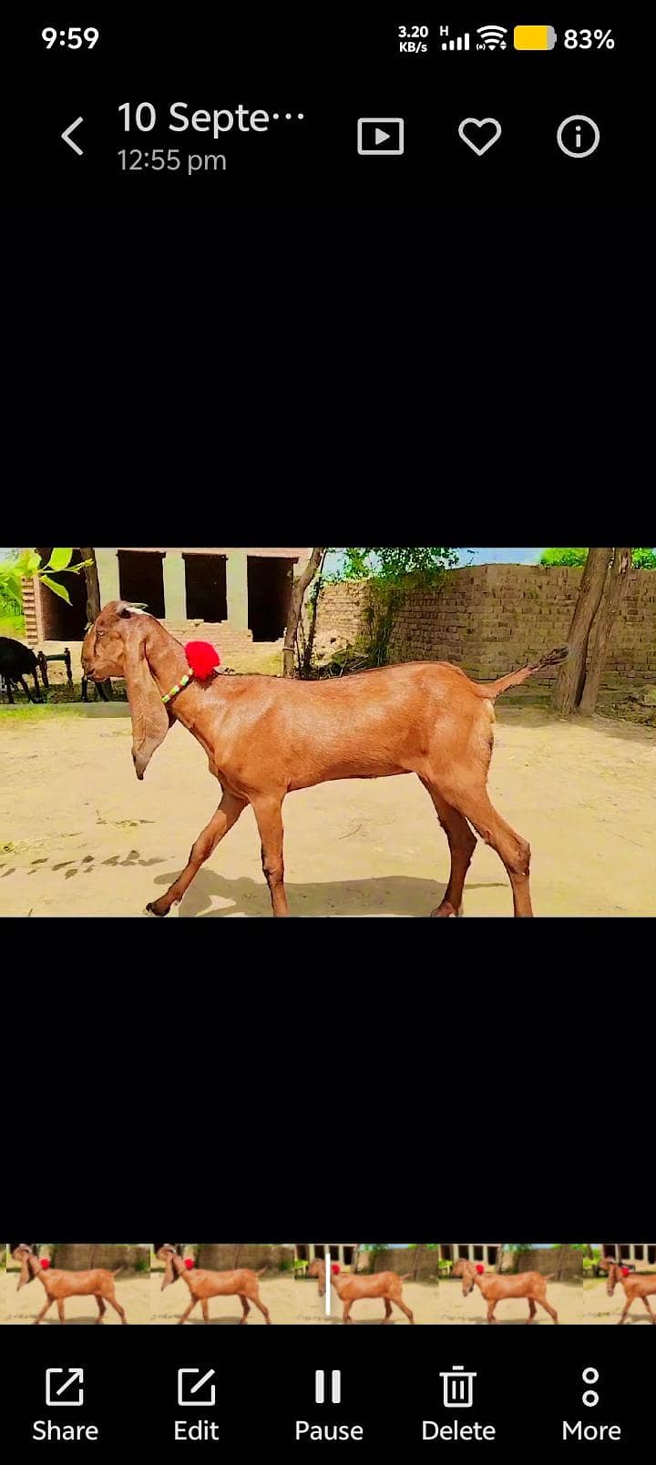 کھیری پھٹ 0