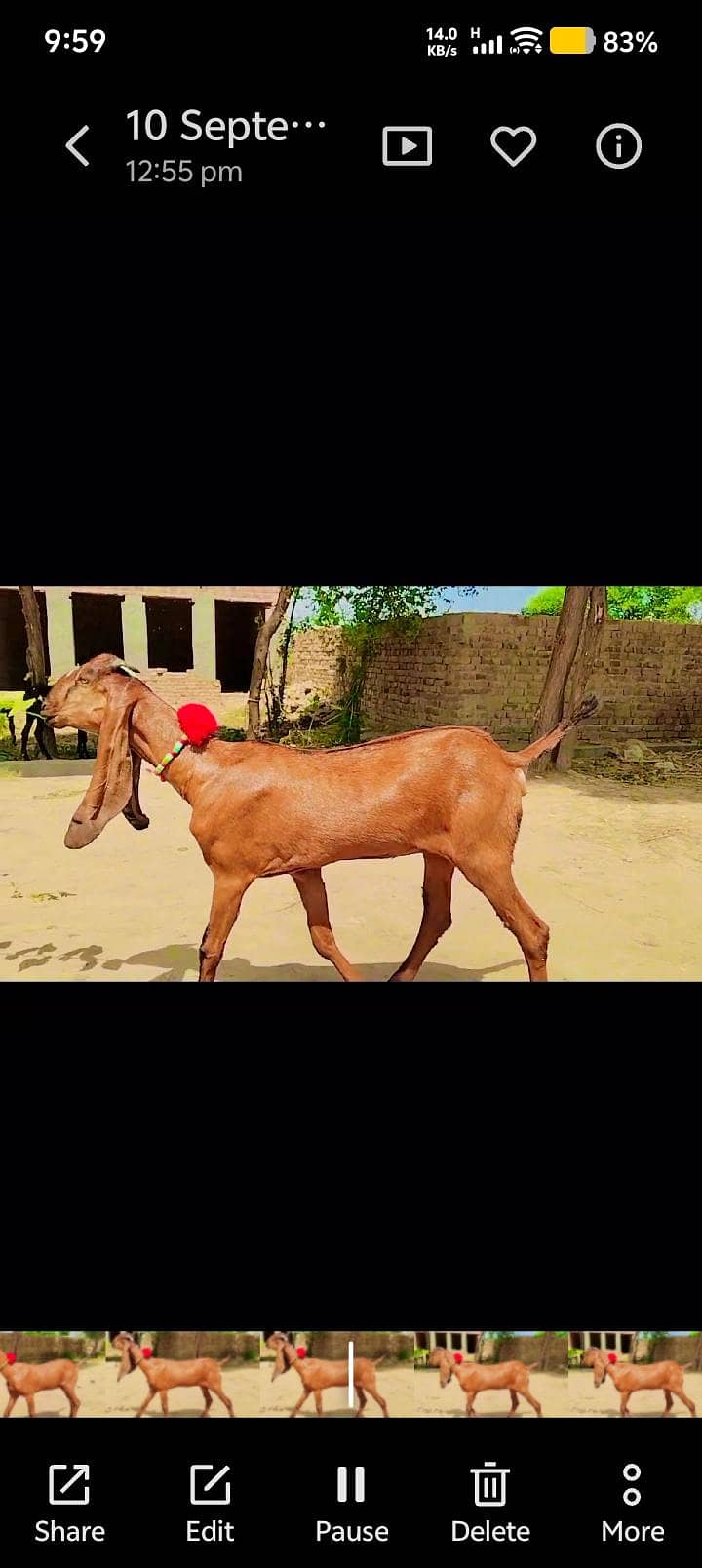 کھیری پھٹ 2