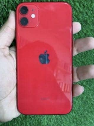 Apple iPhone 11 0