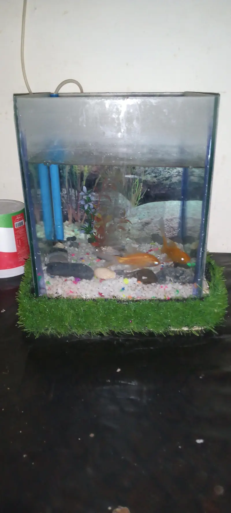 fish aquatium and acceries for sale