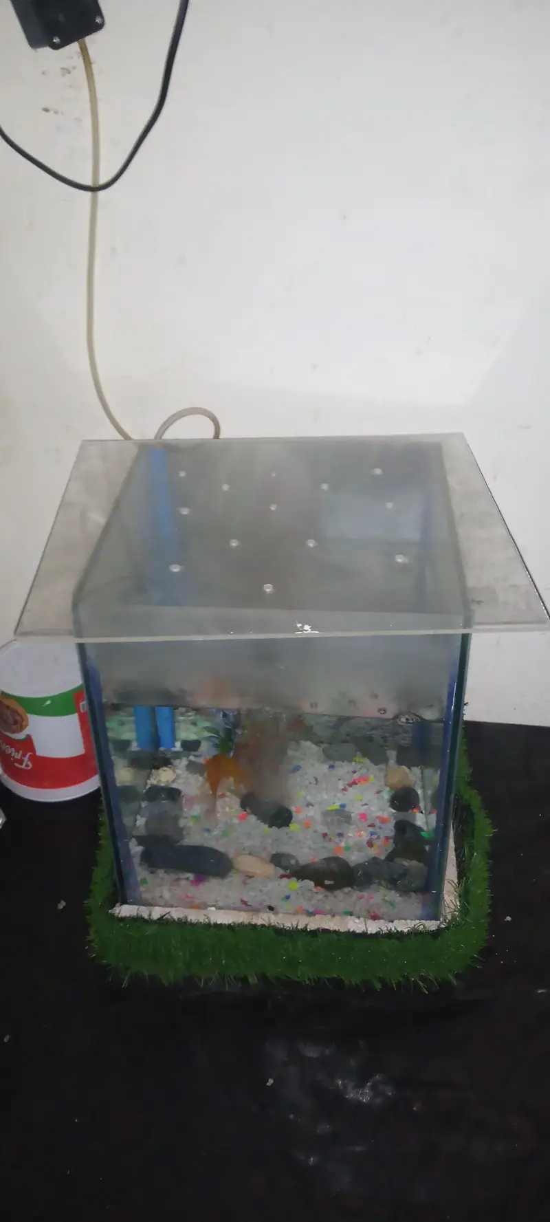 fish aquatium and acceries for sale — photo 9