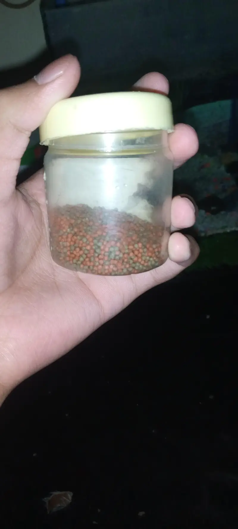 fish aquatium and acceries for sale — photo 11