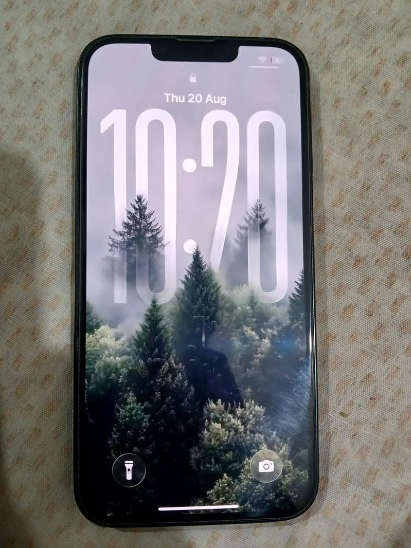 Apple iPhone 13 1