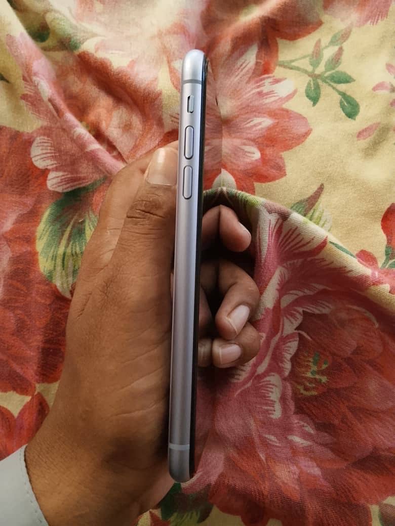 Apple iPhone 11 2
