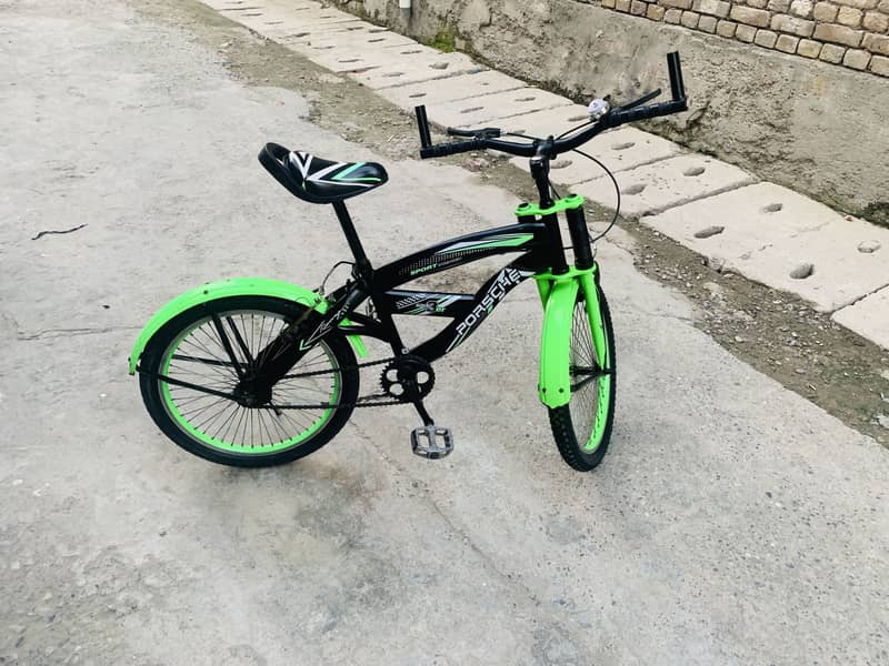 20”bicycle 3