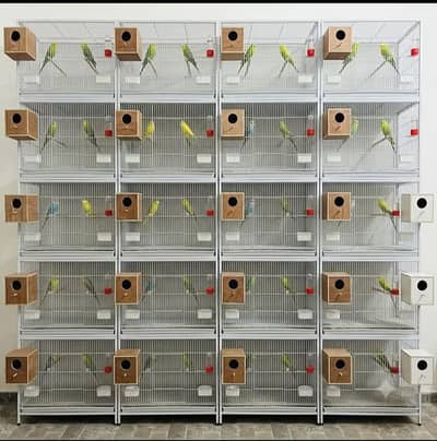 full Birds cages Tower single and double wala for sale