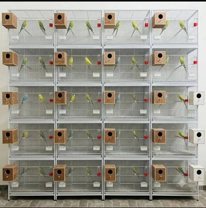 full Birds cages Tower single and double wala for sale