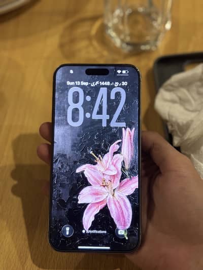 Apple iPhone 15 Pro Max