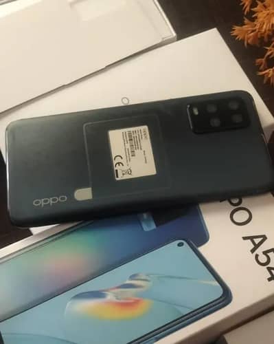 OPPO A54