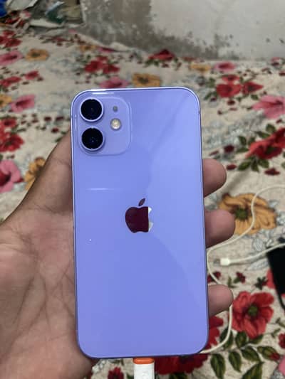 Apple iPhone 12 mini