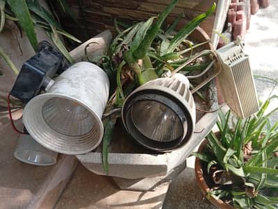 Decorative Lights &  Fans – Multiple Designs Available”