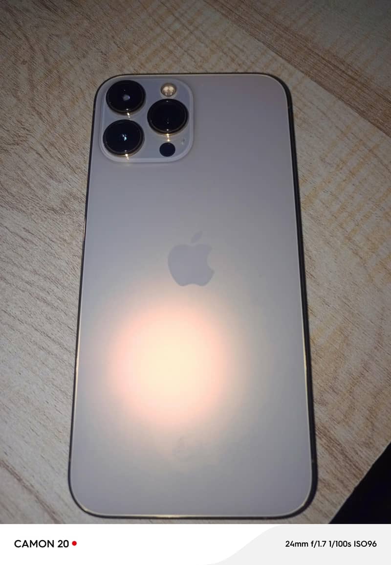 Apple iPhone 13 Pro Max 1