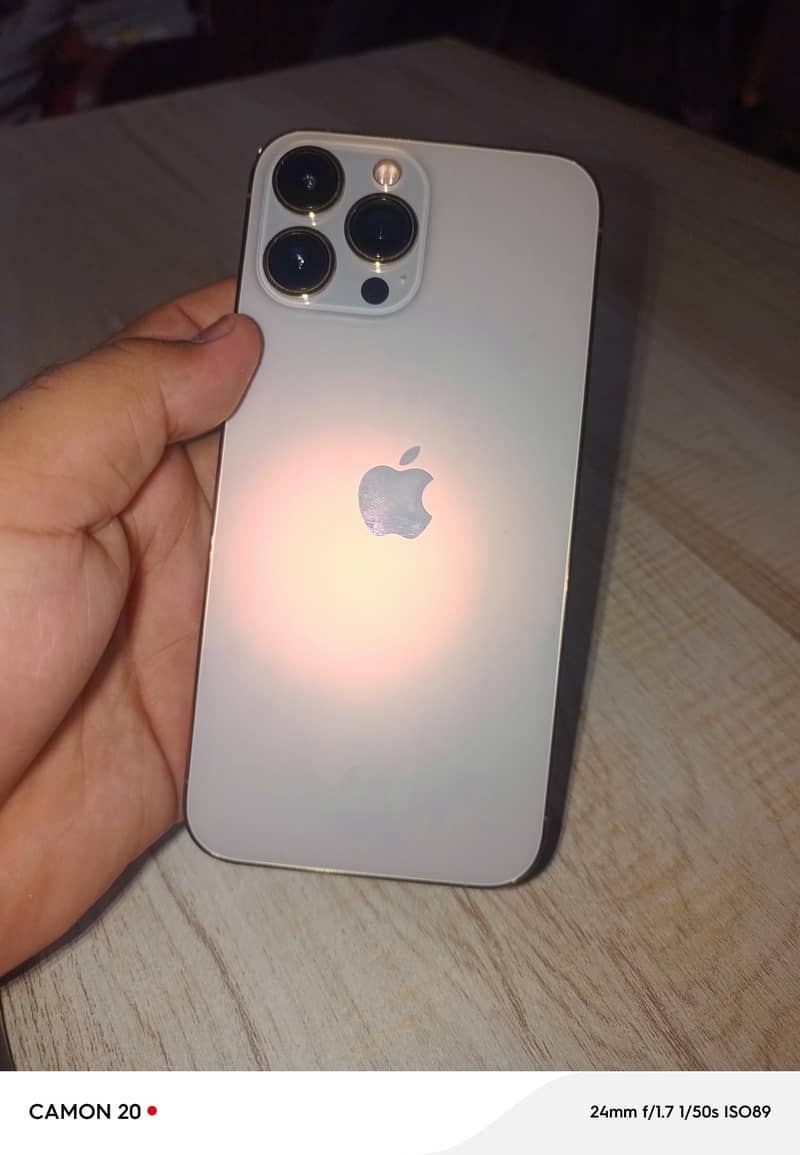 Apple iPhone 13 Pro Max 2