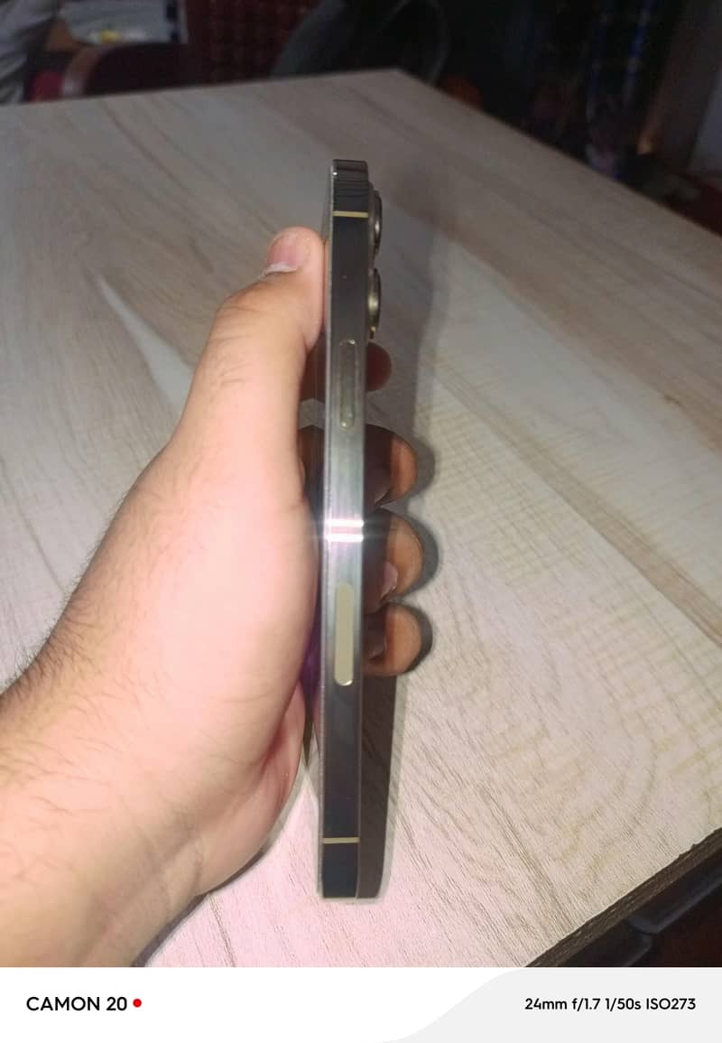 Apple iPhone 13 Pro Max 4