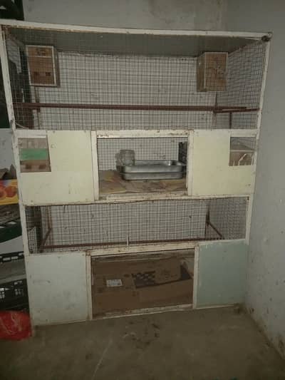 birds and chicken cage