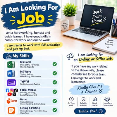 Experienced Data Entry & MS Office Professional – Work From Home