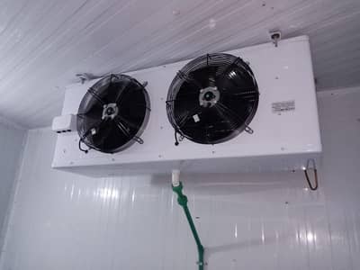 Frozen Storage | Cold Room | Walk In Freezer | Commercial Chiller