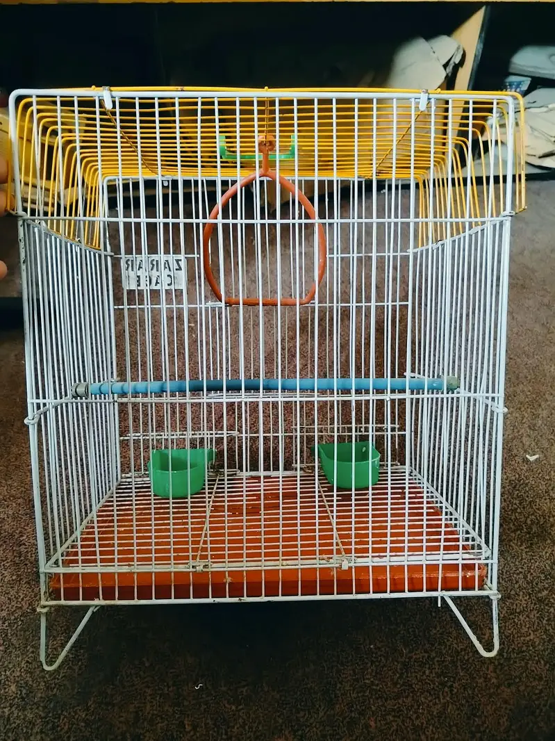 bird's cage Available for good price — photo 2