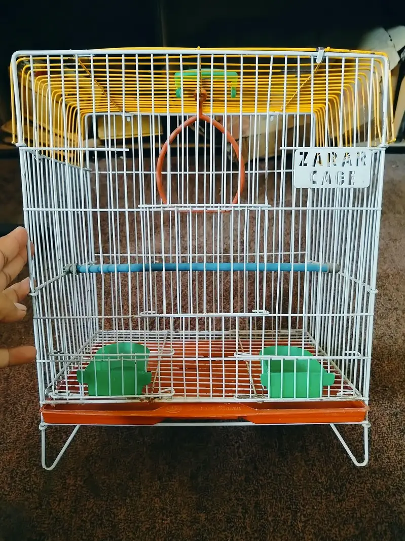 bird's cage Available for good price — photo 3