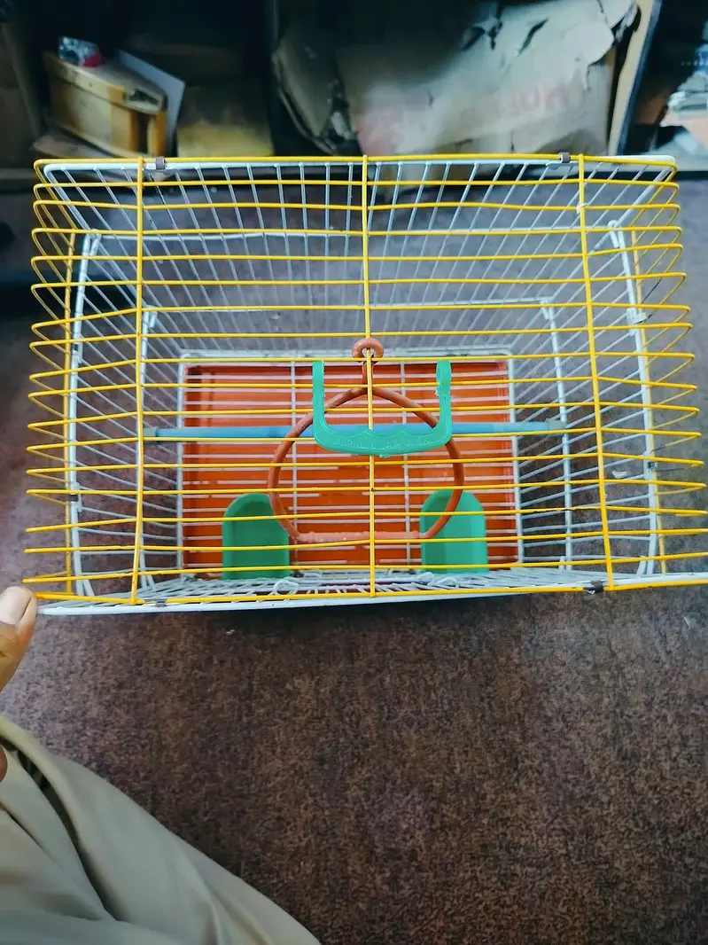 bird's cage Available for good price — photo 4