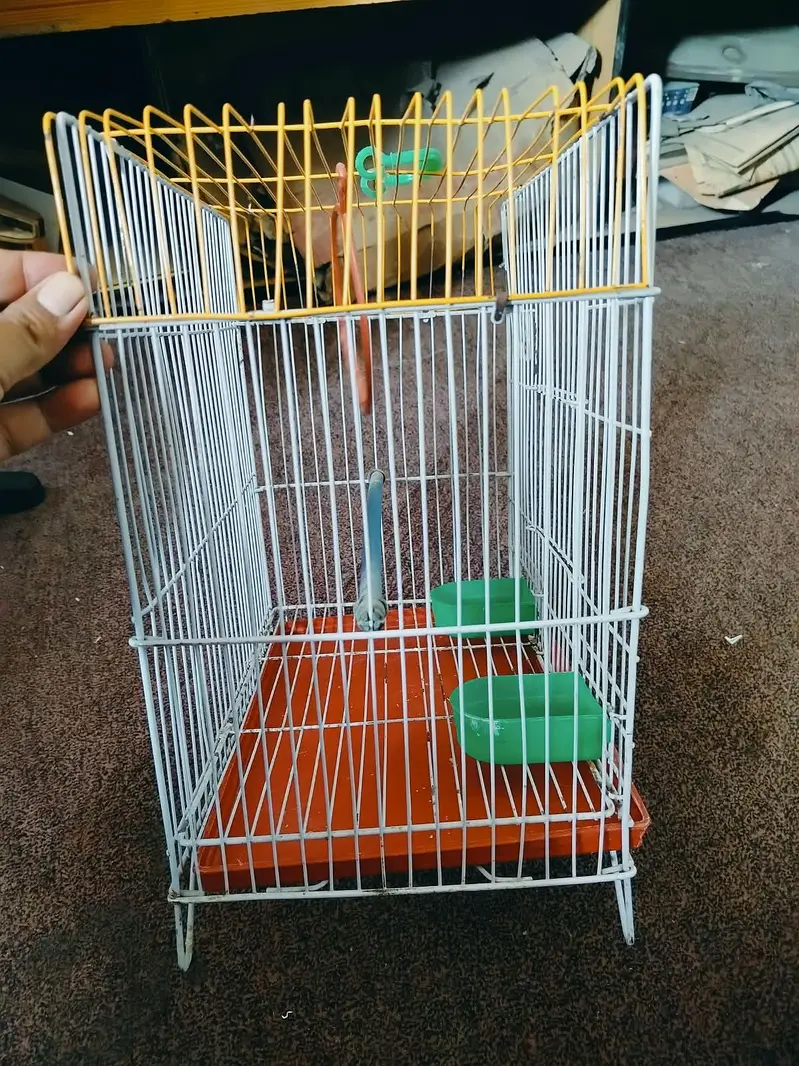 bird's cage Available for good price — photo 5