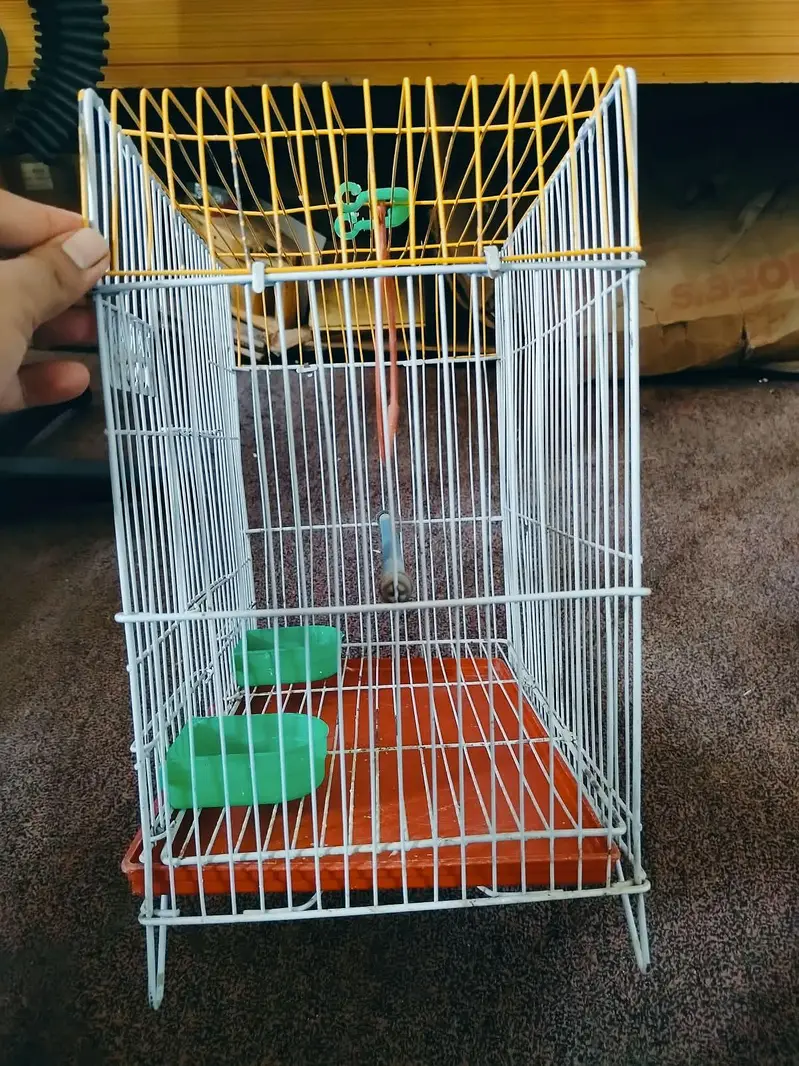 bird's cage Available for good price — photo 6