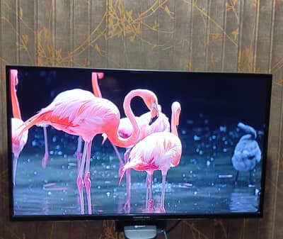 Changhong Ruba Android 40" LED Fresh condition