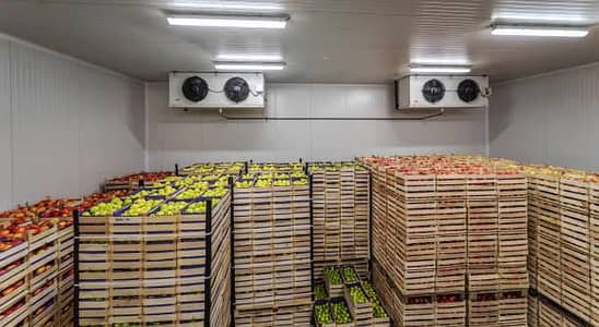 cold storage,store,room,chiller,walk in freezer, blaster,frozan
