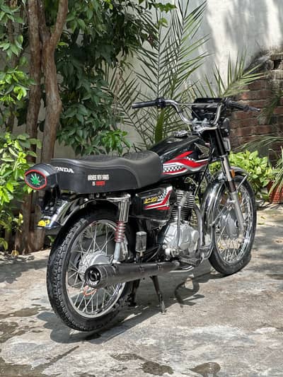 Honda 125 23/24