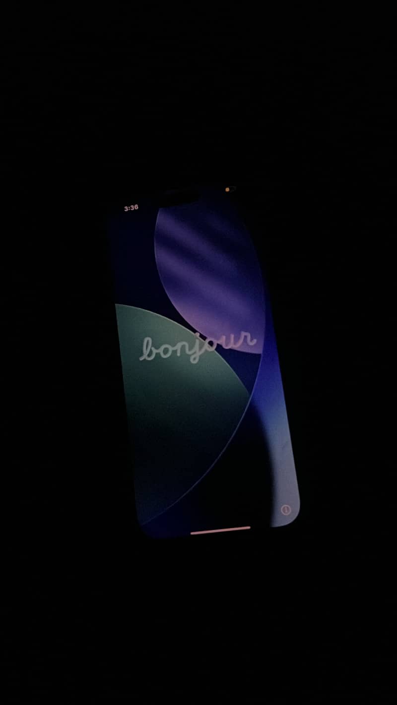 Apple iPhone 16 Pro Max 1
