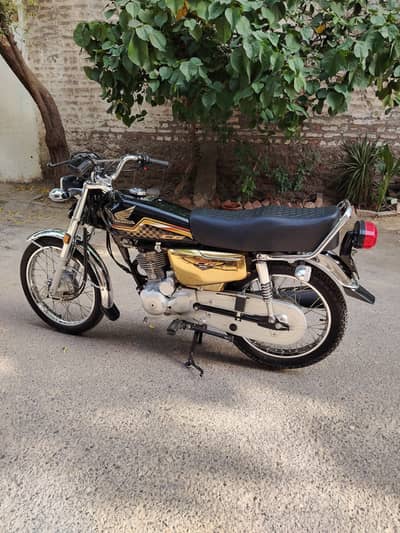 2024 model gold edition for sale