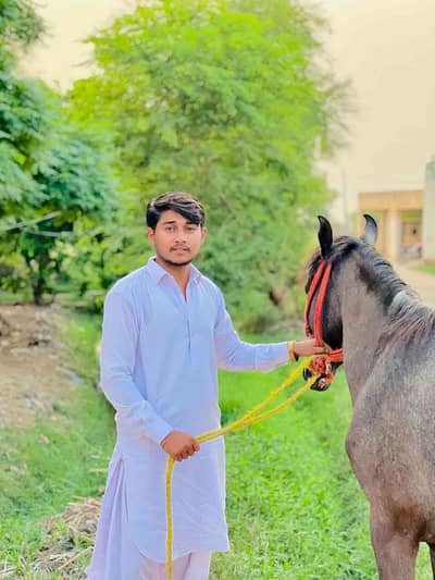 Rana Subhan Ali