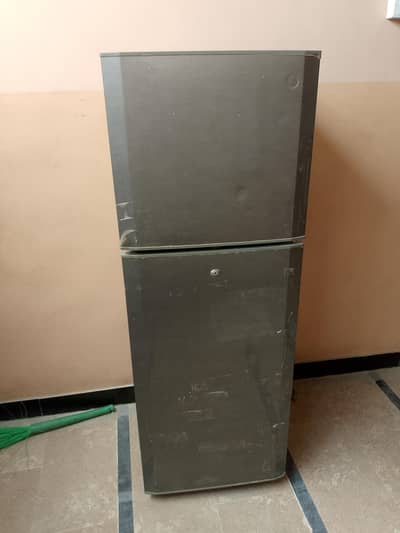 pel medium size frigde