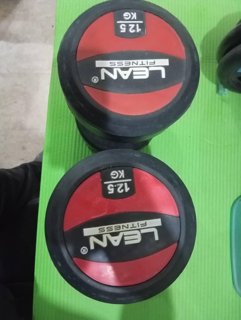 Lean Dumbbells 1