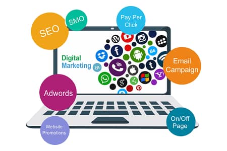 Web developer Social Media Marketing expert Require