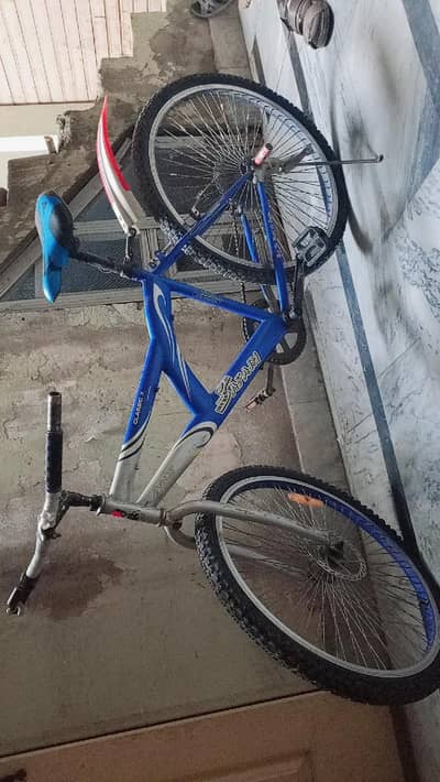 MTB Speed Cycle Single Speed - Lightweight Frame - Good Tyres