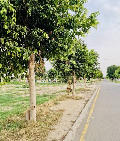 03 Marla Possession Plot A Block Phase 2 Developed Area All Dues Paid Nearby Population