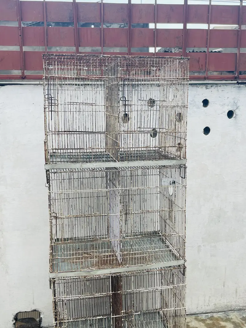 Wire cages 1.5/2 in reasonable price — photo 2