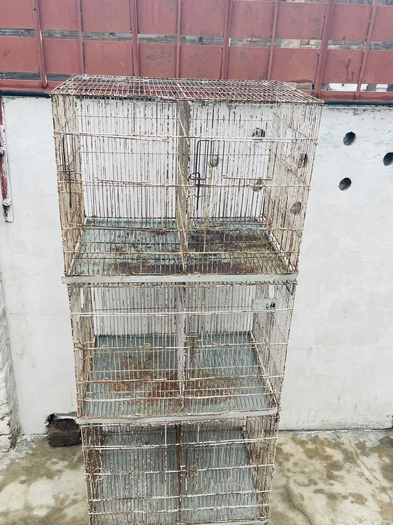Wire cages 1.5/2 in reasonable price — photo 3