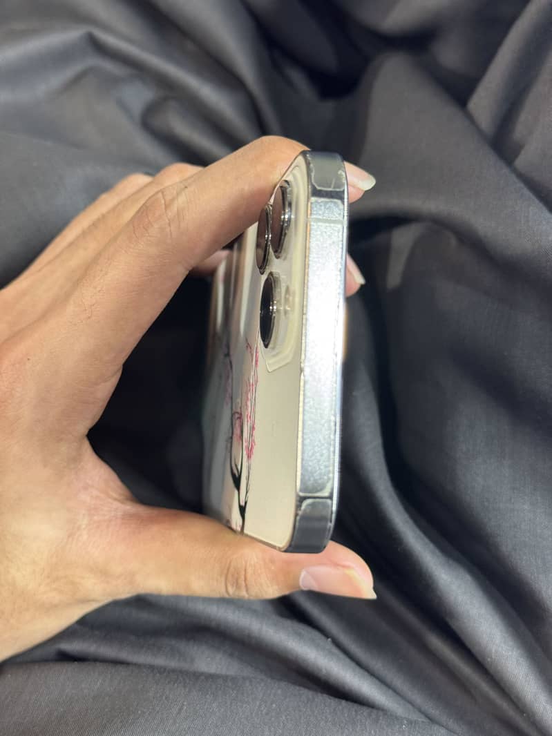 Apple iPhone 13 Pro Max 2