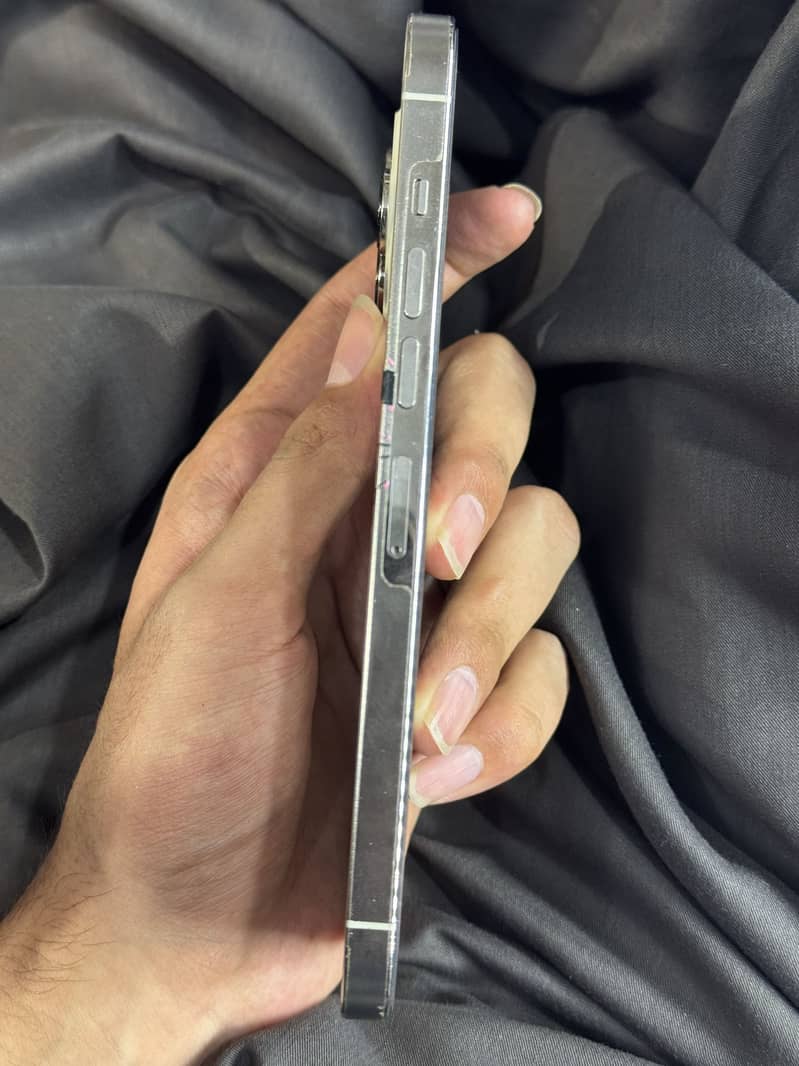 Apple iPhone 13 Pro Max 3