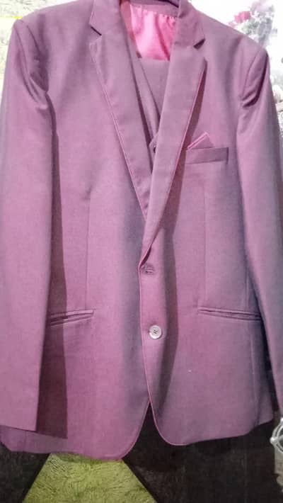 pent coat