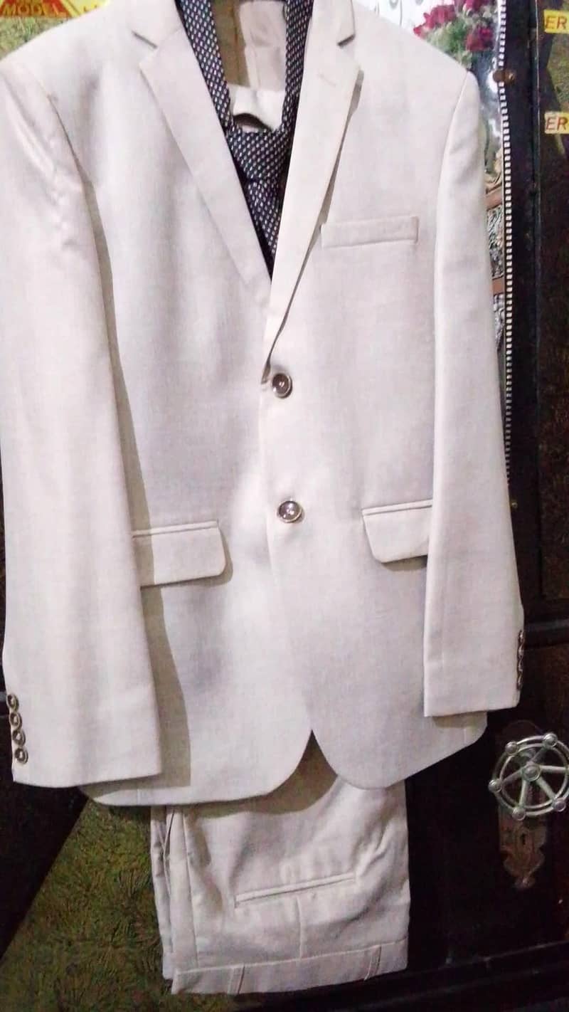 pent coat 1